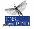 智能DNS的架设笔记(二)